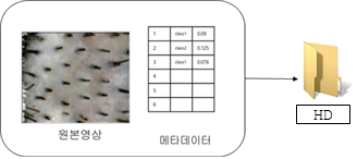 모발이식 및 두피확대 이미지-모발밀도 영상 포맷-데이터 구성